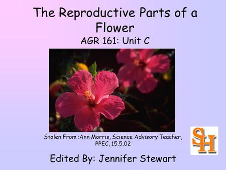 The Reproductive Parts of a Flower AGR 161: Unit C