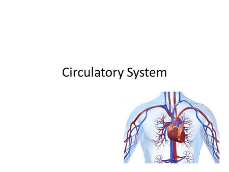 Circulatory System.