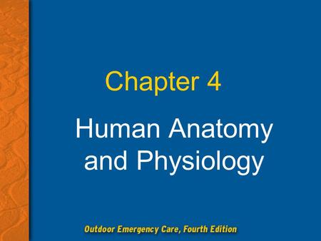 Human Anatomy and Physiology