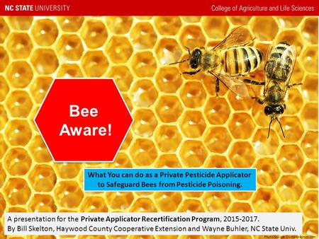 Bee Aware! What You can do as a Private Pesticide Applicator