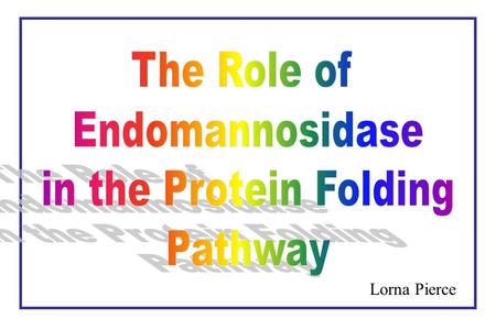 Lorna Pierce. To generate free oligosaccharides characteristic of protein misfolding due to treatment with NB-DNJ To observe the effect of endomannosidase.