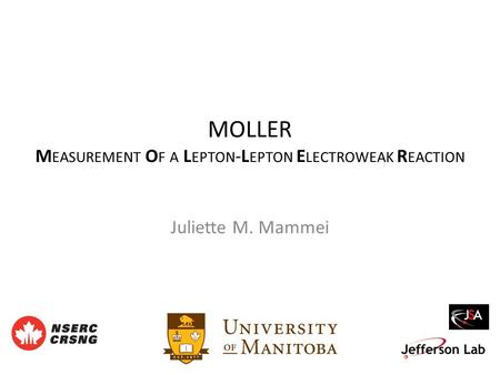 MOLLER M EASUREMENT O F A L EPTON -L EPTON E LECTROWEAK R EACTION Juliette M. Mammei.