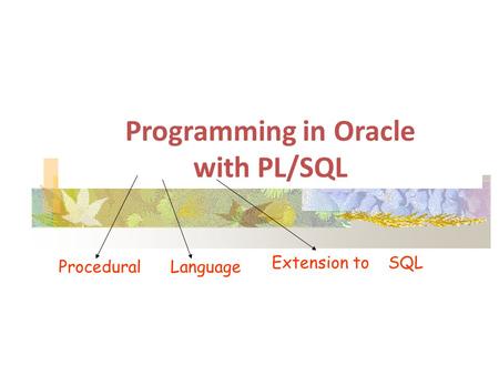 Programming in Oracle with PL/SQL