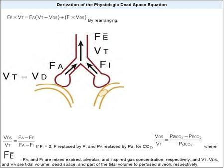 Ventilation-Perfusion Mismatch Optimum gas exchange: Ventilation and perfusion must match each other in all lung regions. Mean ratio of approximately.