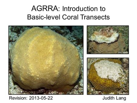 AGRRA : Introduction to Basic-level Coral Transects Revision: 2013-05-22 Judith Lang © K. Marks.