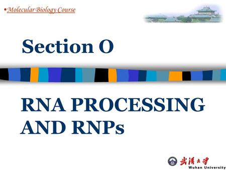 RNA PROCESSING AND RNPs