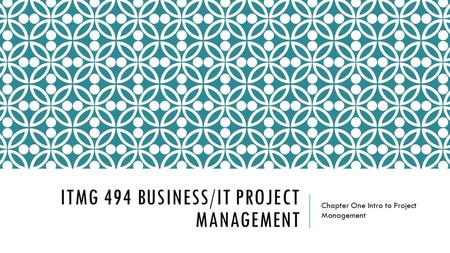 ITMG 494 business/it project management