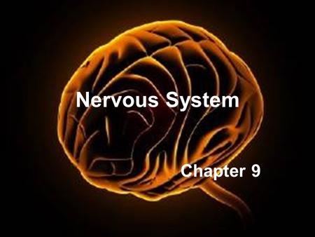 Nervous System Chapter 9.