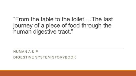 Human A & P Digestive System Storybook