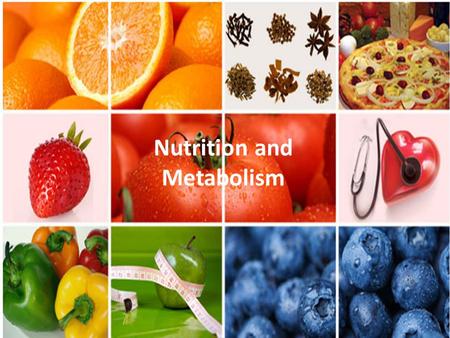 Nutrition and Metabolism