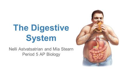 Nelli Astvatsatrian and Mia Stearn Period 5 AP Biology