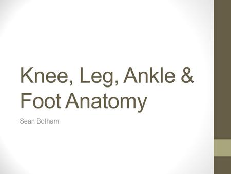 Knee, Leg, Ankle & Foot Anatomy