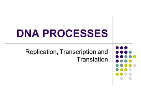 Replication, Transcription and Translation