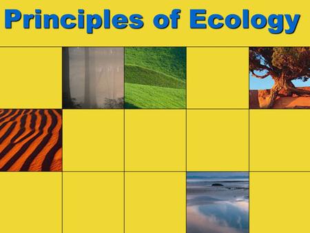 Principles of Ecology.