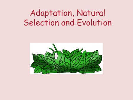 Adaptation, Natural Selection and Evolution