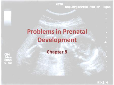 Problems in Prenatal Development