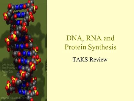 DNA, RNA and Protein Synthesis