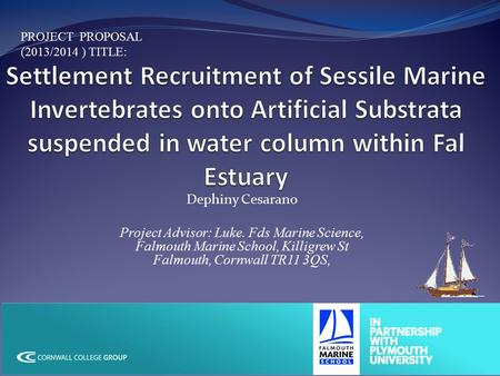 Dephiny Cesarano Project Advisor: Luke. Fds Marine Science, Falmouth Marine School, Killigrew St Falmouth, Cornwall TR11 3QS, PROJECT PROPOSAL (2013/2014.