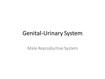 Genital-Urinary System