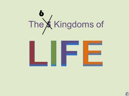 6 The 5 Kingdoms of LIFE.