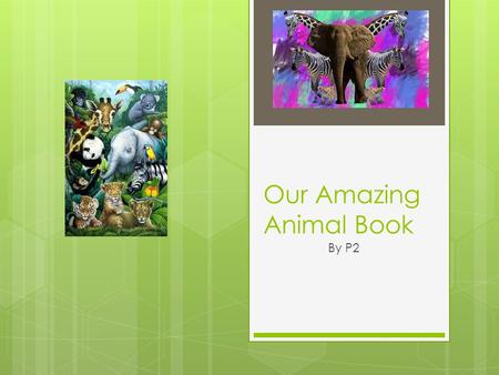 Our Amazing Animal Book