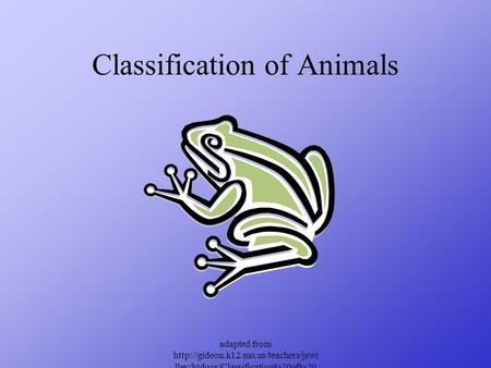 Classification of Animals