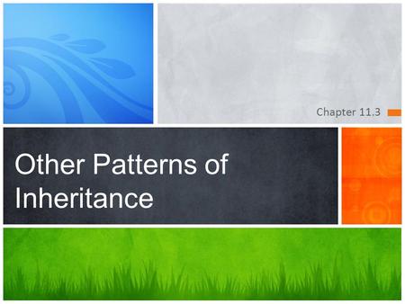 Other Patterns of Inheritance