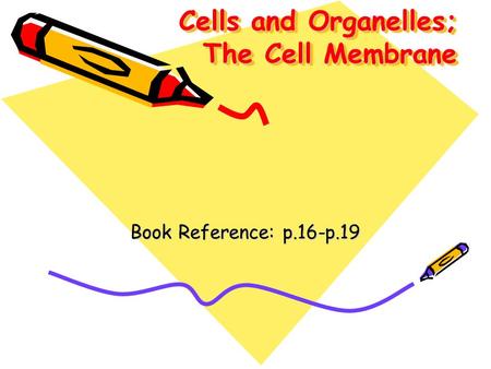 Cells and Organelles; The Cell Membrane Book Reference: p.16-p.19.