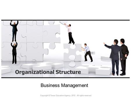 Organizational Structure