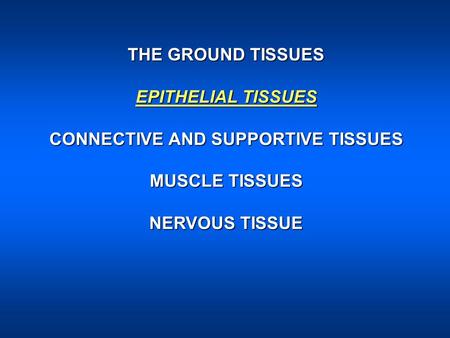 CONNECTIVE AND SUPPORTIVE TISSUES