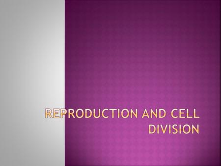 Reproduction and Cell Division