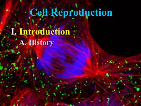 Cell Reproduction I. Introduction A. History. 1. R. R. Brown, 1840’s, existence of the nucleus or “brain of the cell” 2. W. W. Fleming 1860’s dark staining.