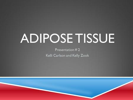 ADIPOSE TISSUE Presentation # 2 Kelli Carlson and Kelly Zook.