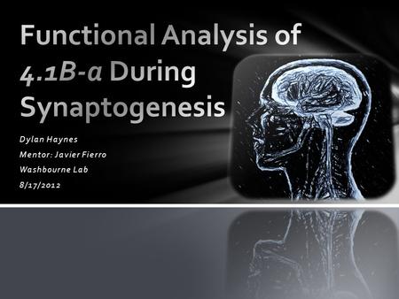 Dylan Haynes Mentor: Javier Fierro Washbourne Lab 8/17/2012.