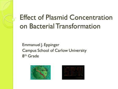 Effect of Plasmid Concentration on Bacterial Transformation