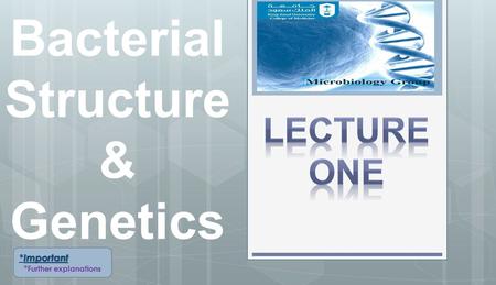 Bacterial Structure & Genetics