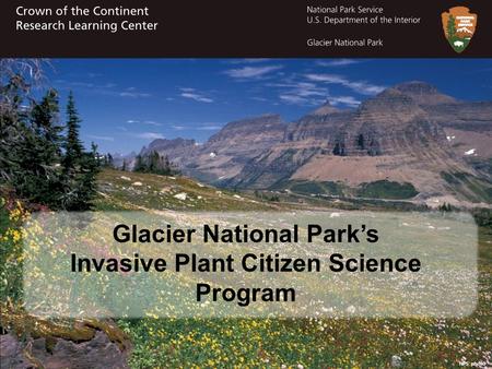 Glacier National Park’s Invasive Plant Citizen Science Program