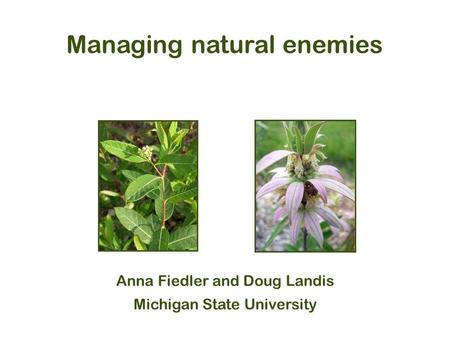 Managing natural enemies