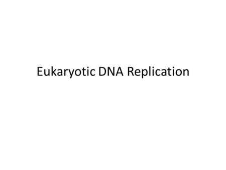 Eukaryotic DNA Replication