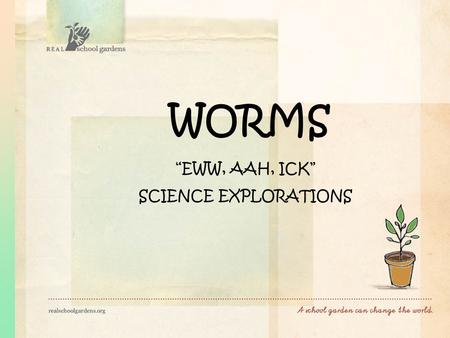 WORMS “EWW, AAH, ICK” SCIENCE EXPLORATIONS. WORMS Making science fun is essential. Kids learn more when they are having fun. Teaching is more enjoyable.