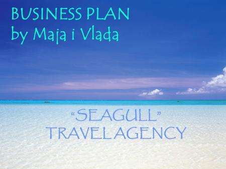 BUSINESS PLAN by Maja i Vlada