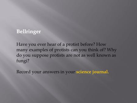 Bellringer Have you ever hear of a protist before? How many examples of protists can you think of? Why do you suppose protists are not as well known as.