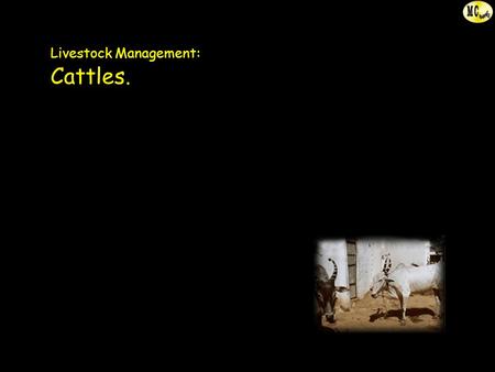 Livestock Management: Cattles.. Livestock and management Human population is directly linked to the natural resources of a country. Animal husbandry and.