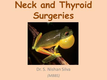 Neck and Thyroid Surgeries