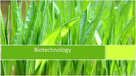 Biotechnology.