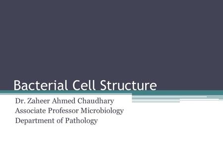 Bacterial Cell Structure