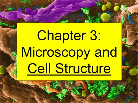 Chapter 3: Microscopy and Cell Structure