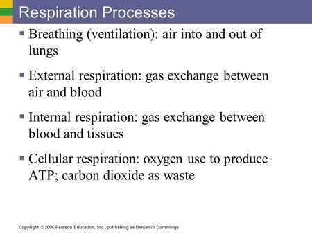 Copyright © 2006 Pearson Education, Inc., publishing as Benjamin Cummings Respiration Processes  Breathing (ventilation): air into and out of lungs 