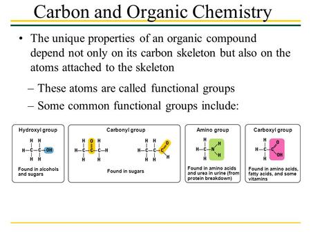 Carbon and Organic Chemistry