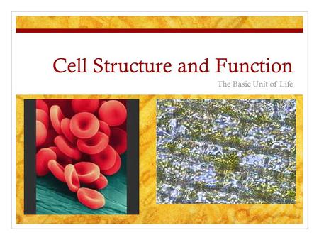 Cell Structure and Function